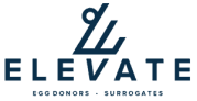 Elevate-Agency
