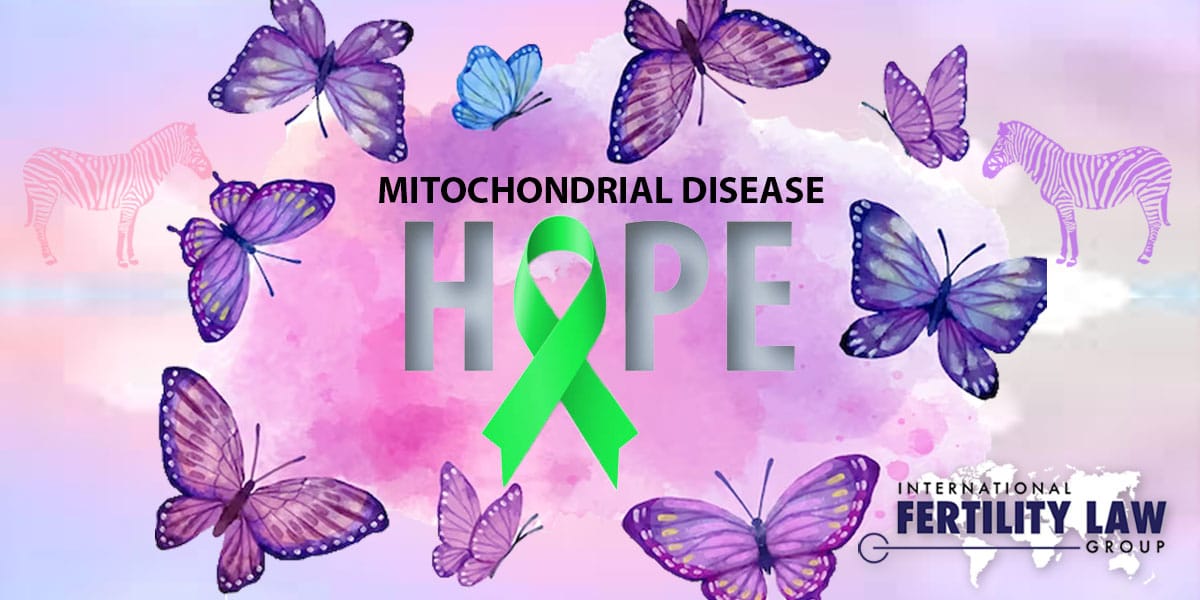 IFLG-Baby-Born-via-Mitochondrial-Donation-Gives-Hope-to-Families-with-Genetic-Mitochondrial-Disorders-Rich-Vaughn
