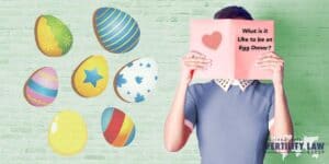 Read more about the article What Is It Like to Be An Egg Donor? 5 Things You May Not Know