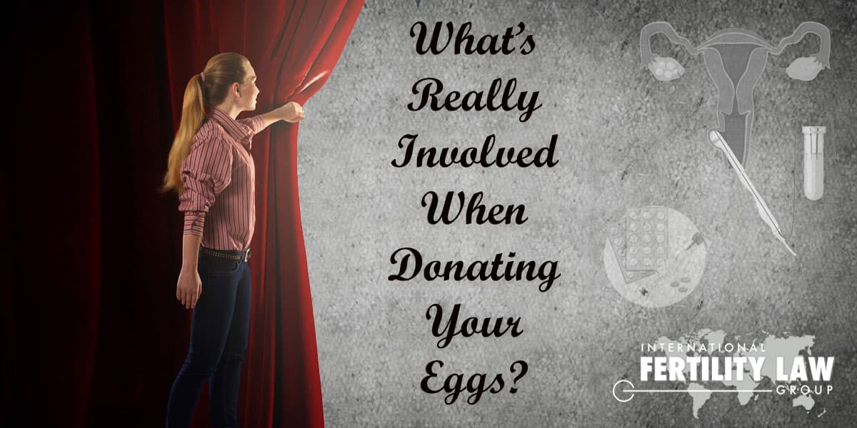 IFLG What's Really Involved When Donating Your Eggs Rich Vaughn
