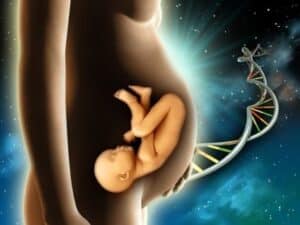 Read more about the article Mitochondrial DNA Transfer Holds Hope for Women with Genetic Disorders