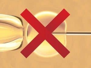Rich-Vaughn-Blog-Cincinnati-Archdiocese-IVF