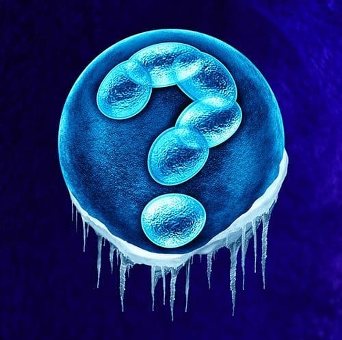 Rich Vaughn Blog: Frozen Embryos Discarded Following Divorce