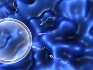 Rich-Vaughn-Blog-Male-Infertility